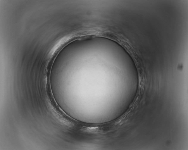 X0000116320054200912151252