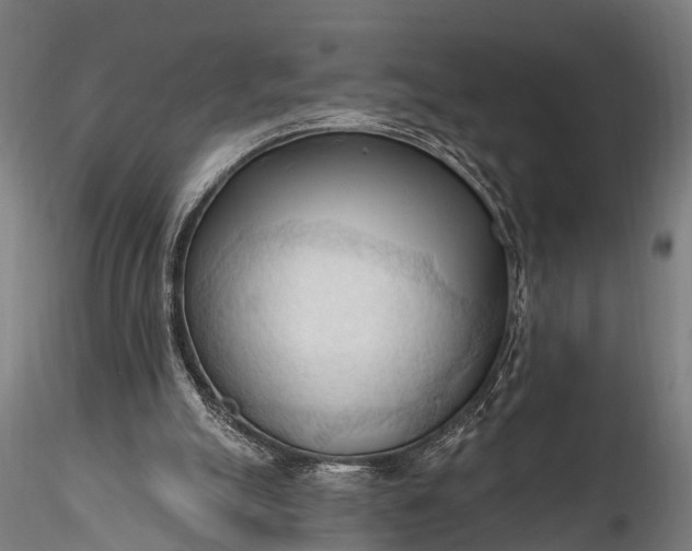 X0000116320055200912151252