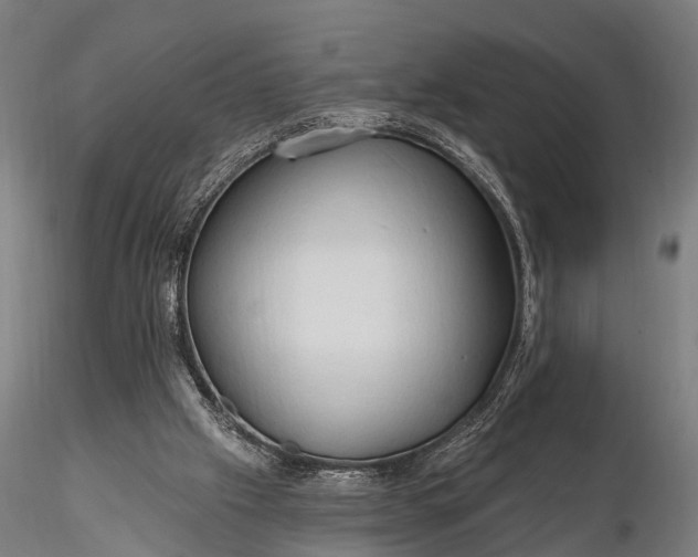 X0000116320057200912151252