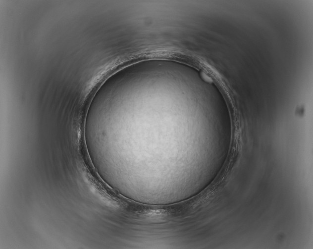 X0000116320059200912151252