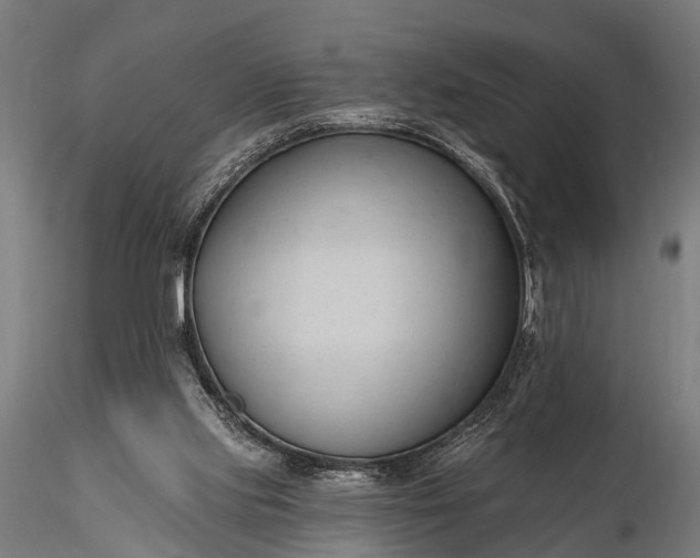 X0000116320061200912151252