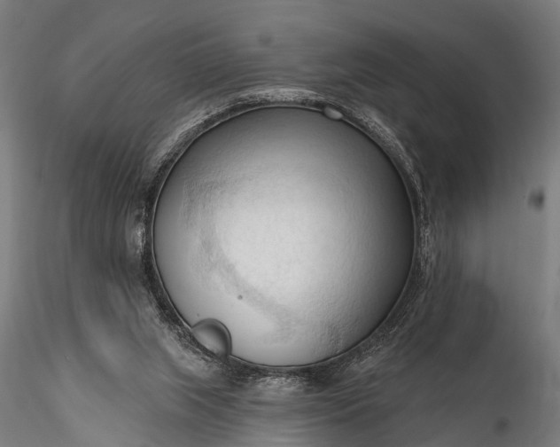 X0000116320063200912151252