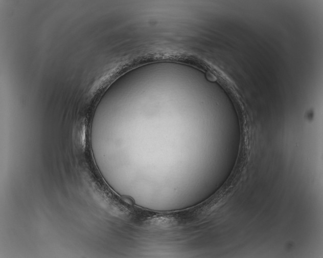 X0000116320067200912151252