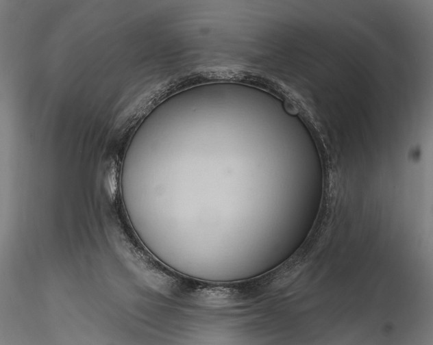 X0000116320069200912151252