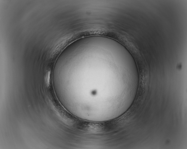 X0000116320070200912151252