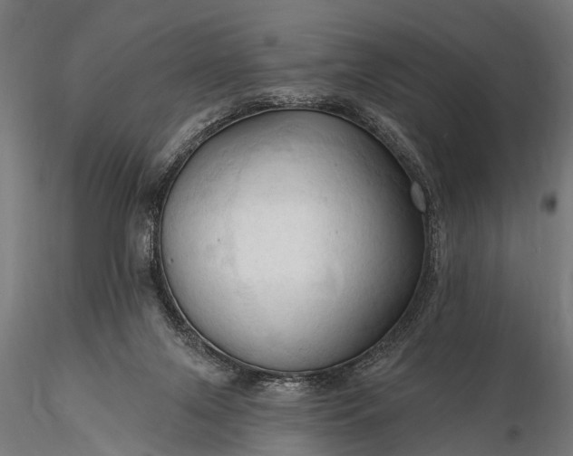 X0000116320071200912151252