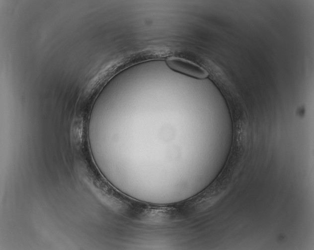 X0000116320072200912151252