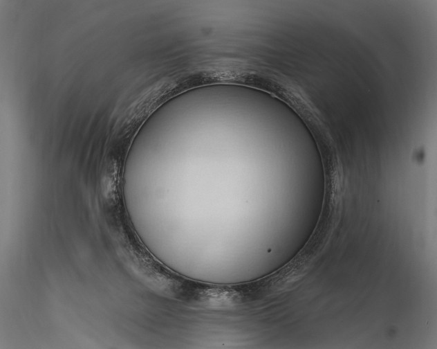 X0000116320073200912151252