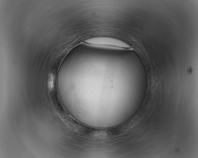 X0000116320075200912151252