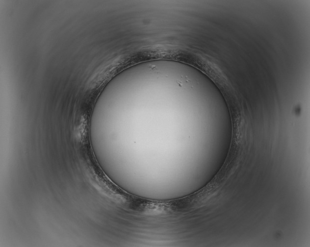 X0000116320077200912151252