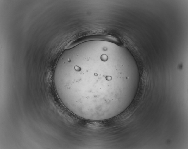 X0000116320079200912151252