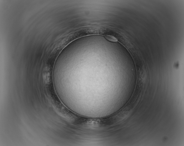 X0000116320080200912151252