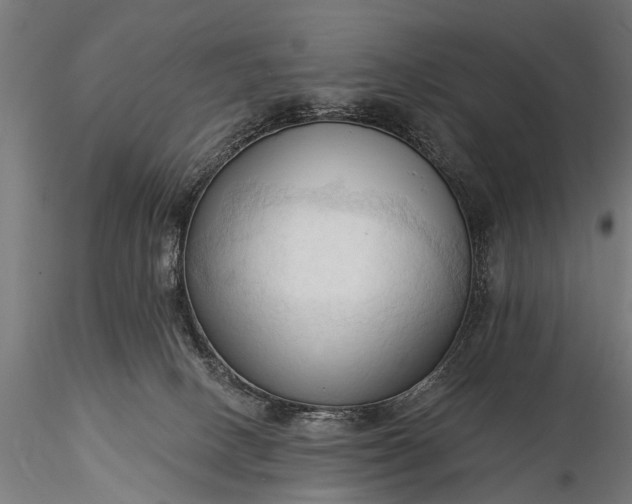 X0000116320082200912151252