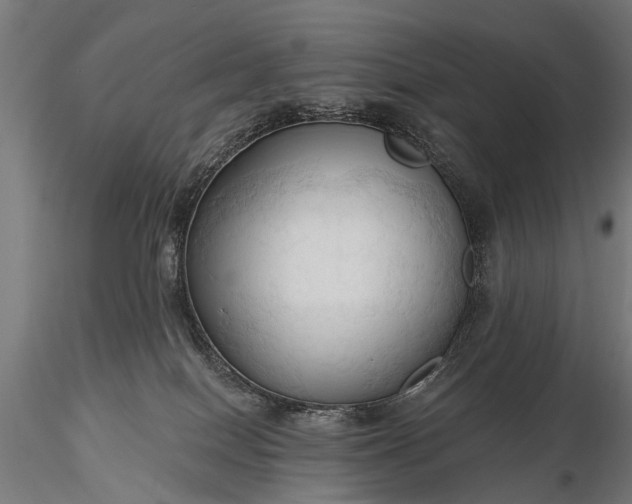 X0000116320086200912151252