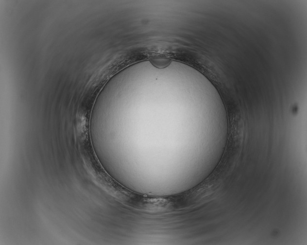 X0000116320087200912151252