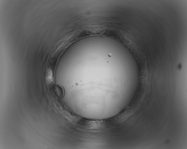 X0000116320089200912151252