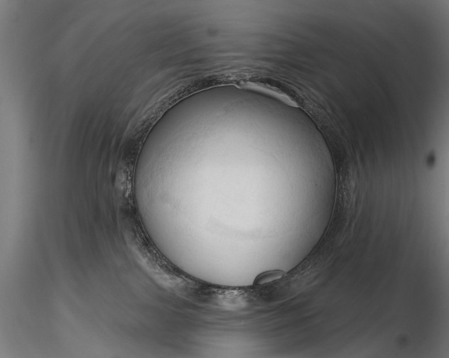 X0000116320091200912151252