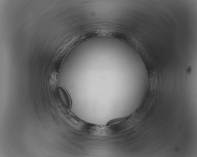 X0000116320093200912151252