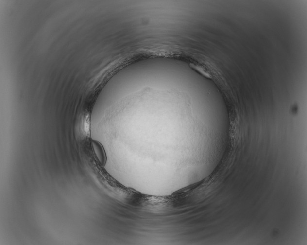 X0000116320095200912151252