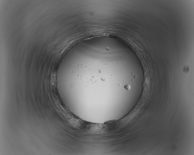 X0000116320096200912151252