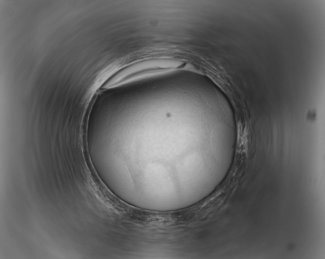 X0000116320099200912151251