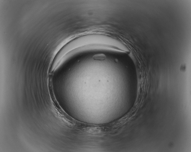 X0000116320100200912151251