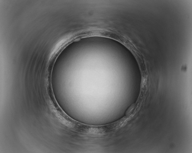 X0000116320101200912151251