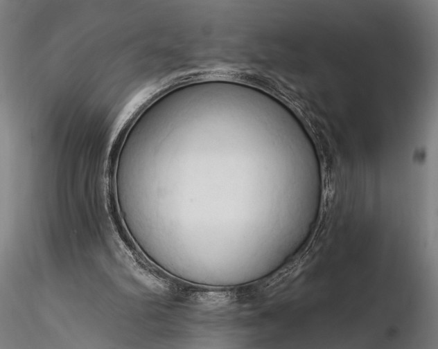 X0000116320102200912151251