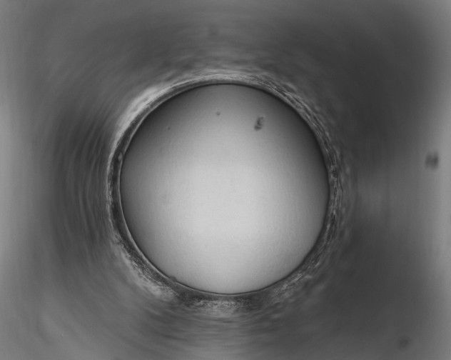 X0000116320104200912151251