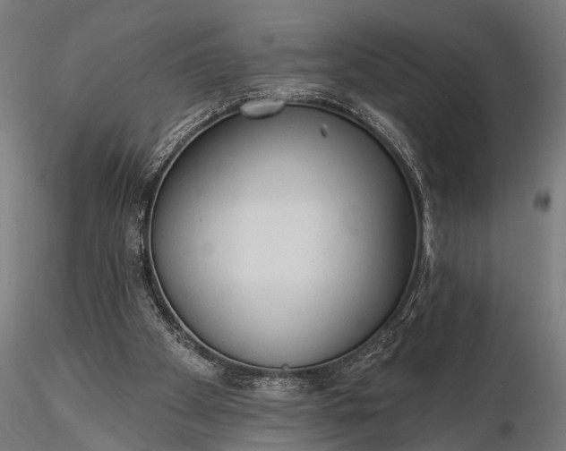 X0000116320105200912151251