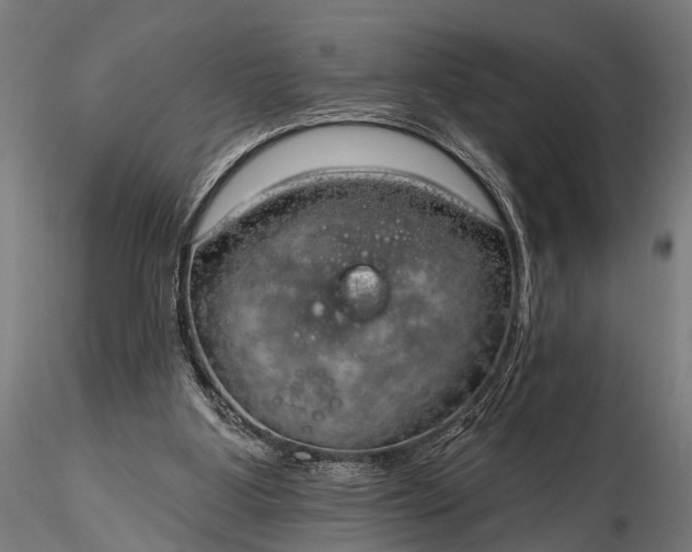 X0000116320107200912151251