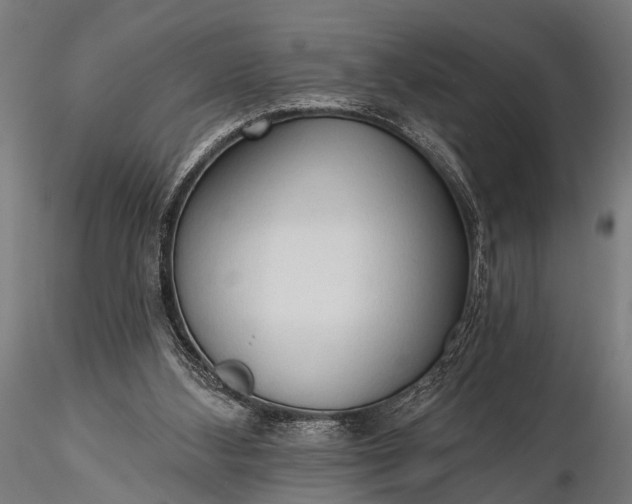 X0000116320108200912151251