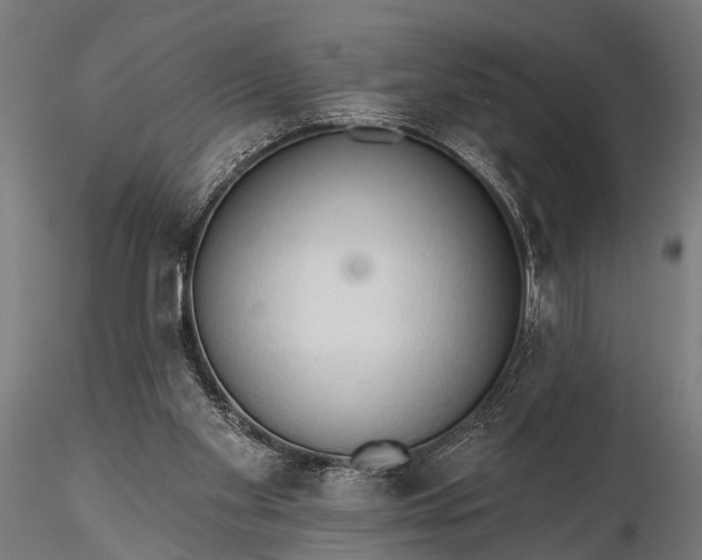 X0000116320109200912151251