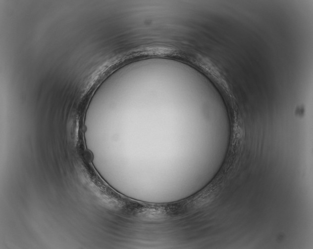 X0000116320110200912151251