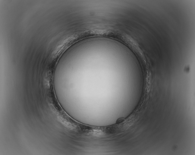 X0000116320114200912151251