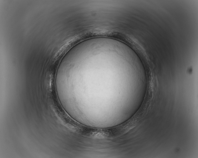 X0000116320115200912151251