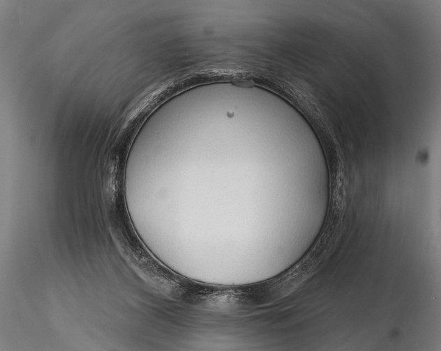 X0000116320116200912151251