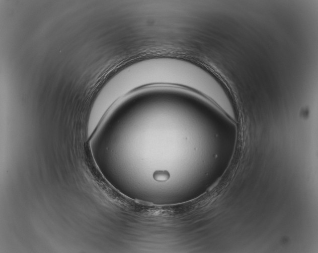 X0000116320117200912151251