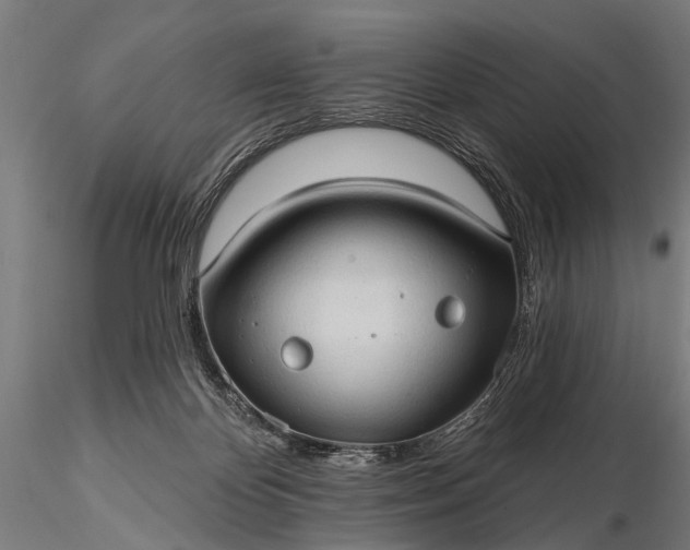 X0000116320124200912151251