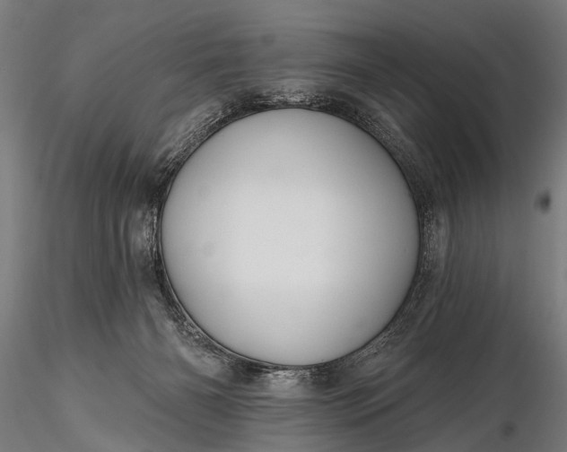 X0000116320126200912151251