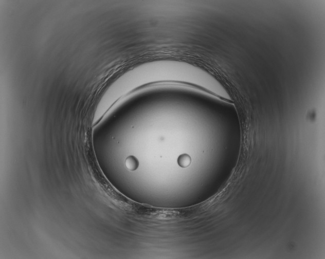 X0000116320128200912151251