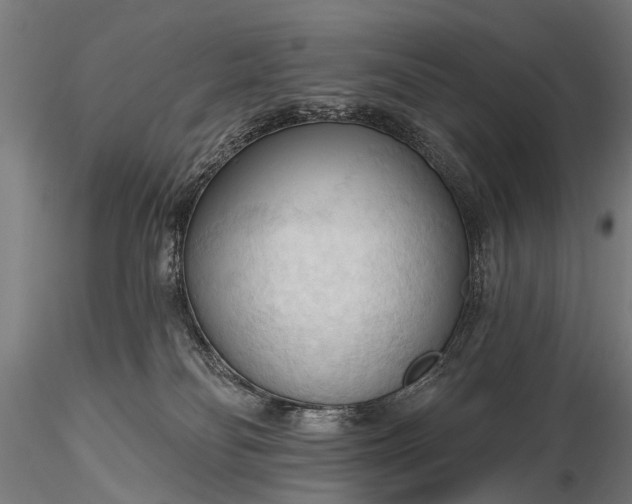 X0000116320134200912151251