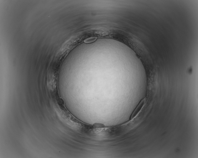 X0000116320136200912151251