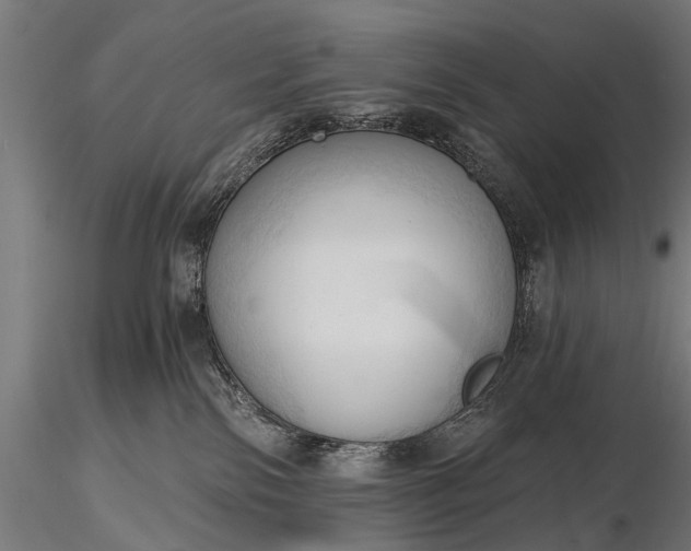 X0000116320138200912151251