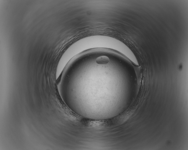 X0000116320139200912151251