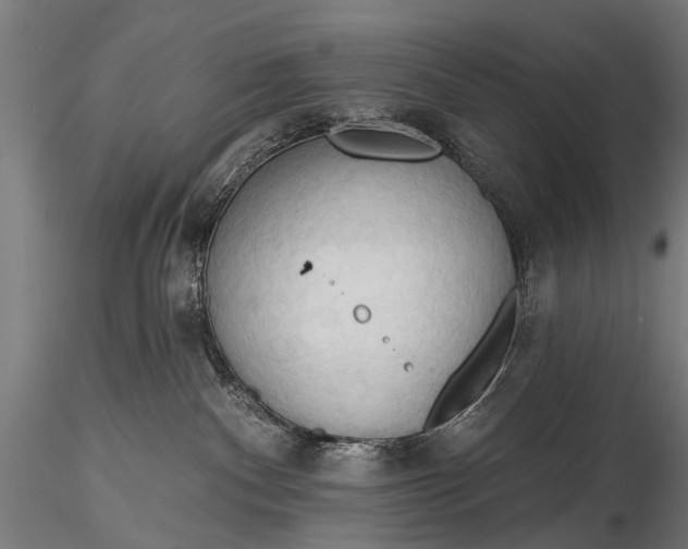 X0000116320140200912151251