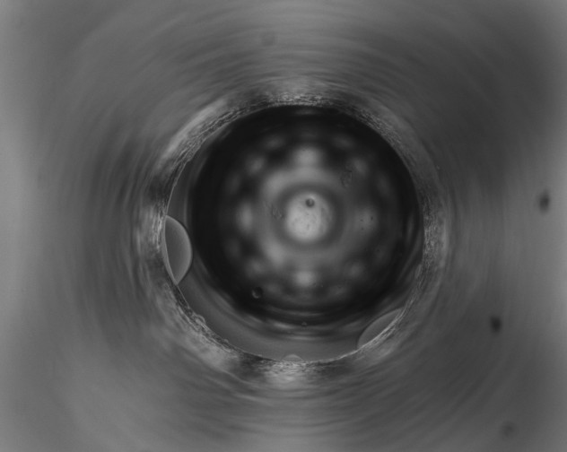 X0000116320142200912151251