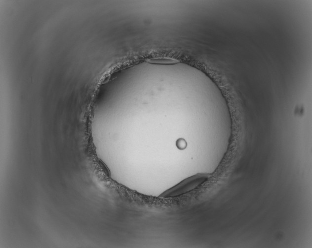 X0000116320144200912151251