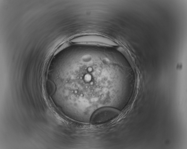 X0000116320145200912151250