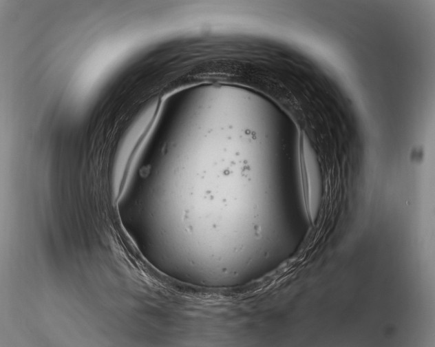 X0000116320146200912151250